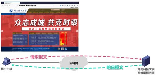 计算机网络第6章 应用层技术与信息技术研发