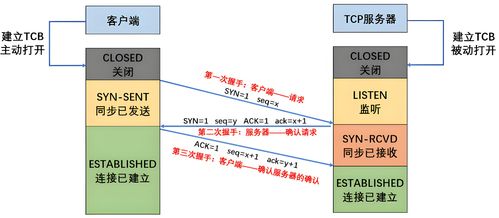 计算机网络高频面试题解析